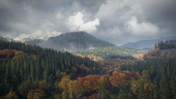theHunter: Call of the Wild + 28 DLC Crack Free Download