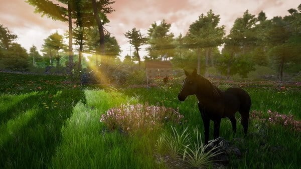 Horse Riding Deluxe 2 Crack Free Download