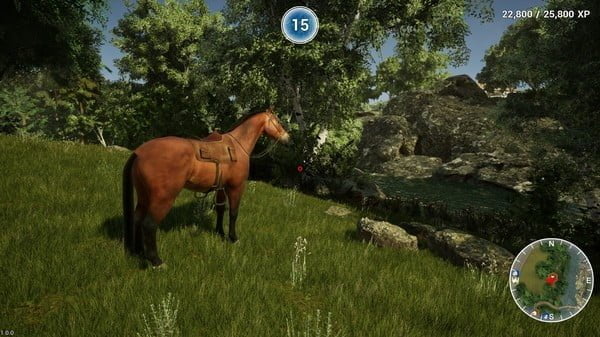 Animal Doctor Crack Free Download