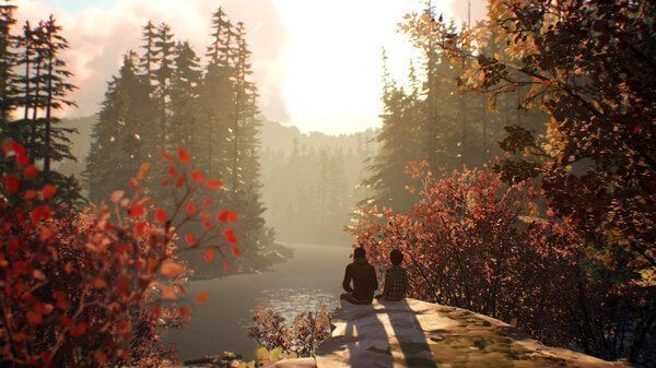 Life is Strange 2 Crack Free Download