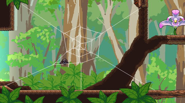 Webbed Crack Free Download