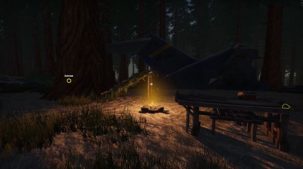 Missing Plane: Survival Crack Free Download