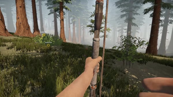 Missing Plane: Survival Crack Free Download