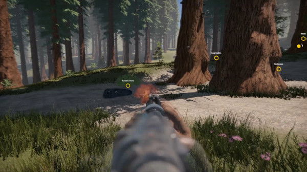 Missing Plane: Survival Crack Free Download
