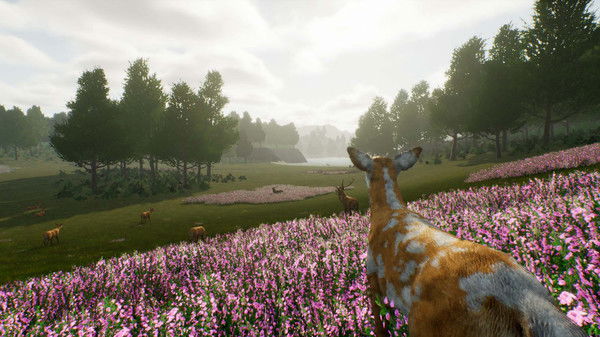 Deer Journey Crack