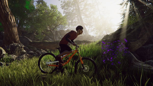Bicycle Rider Simulator Crack
