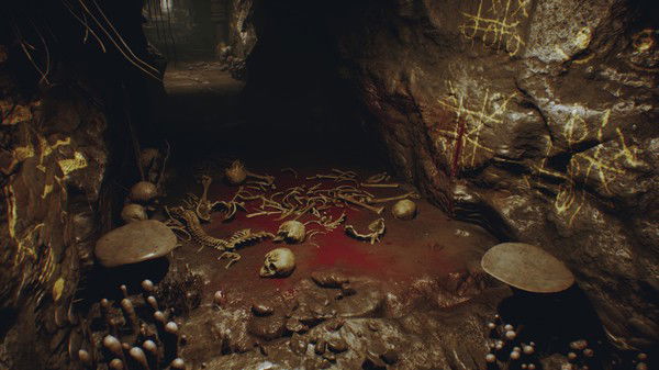 Spider Queen Cave Crack