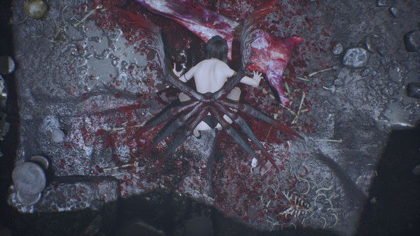 Spider Queen Cave Crack