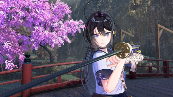 Samurai Maiden Crack