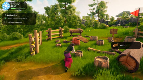 The Witch of Fern Island Crack