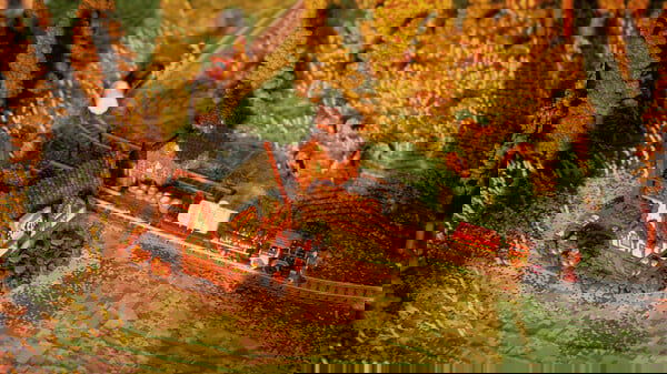 Station to Station Crack