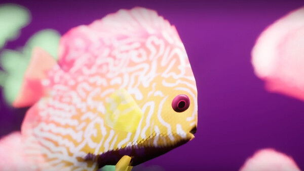 Fish Game Crack 