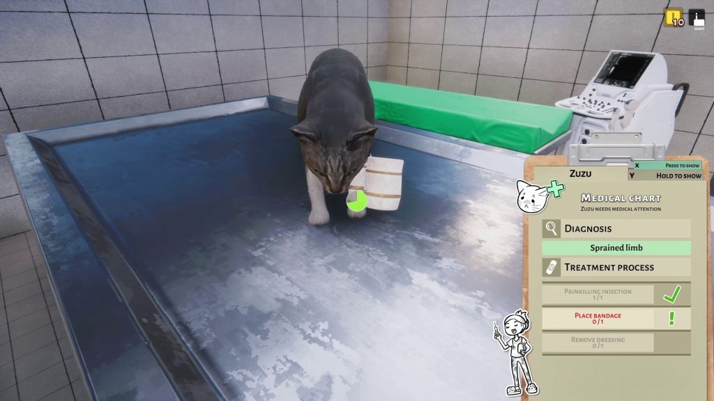 Animal Shelter