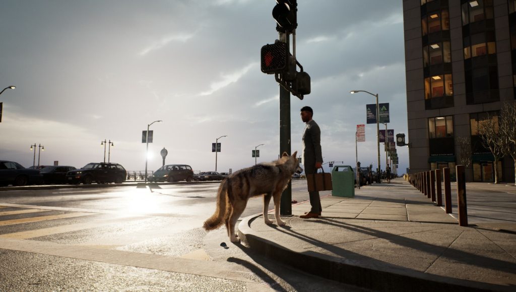 WOLF IN THE CITY
