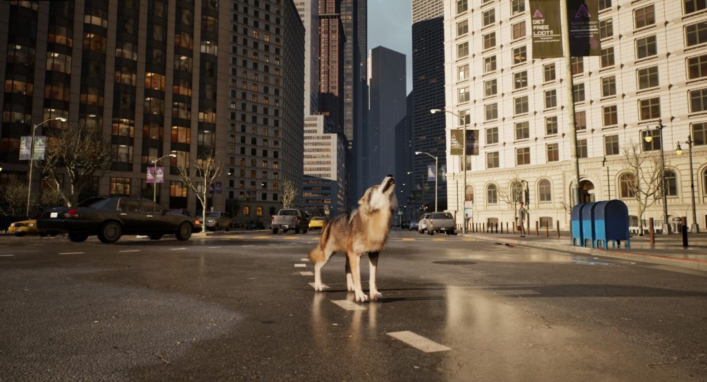 WOLF IN THE CITY