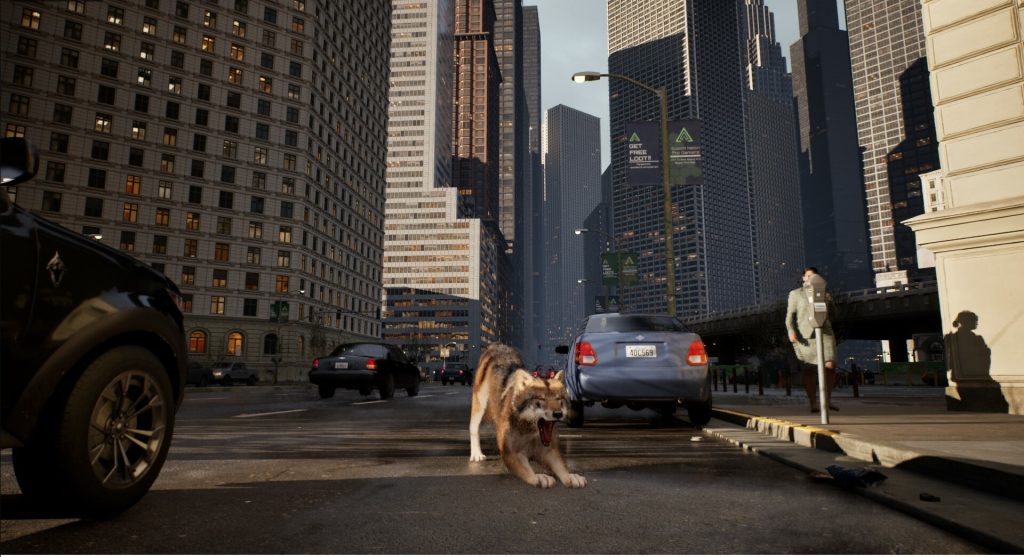 WOLF IN THE CITY