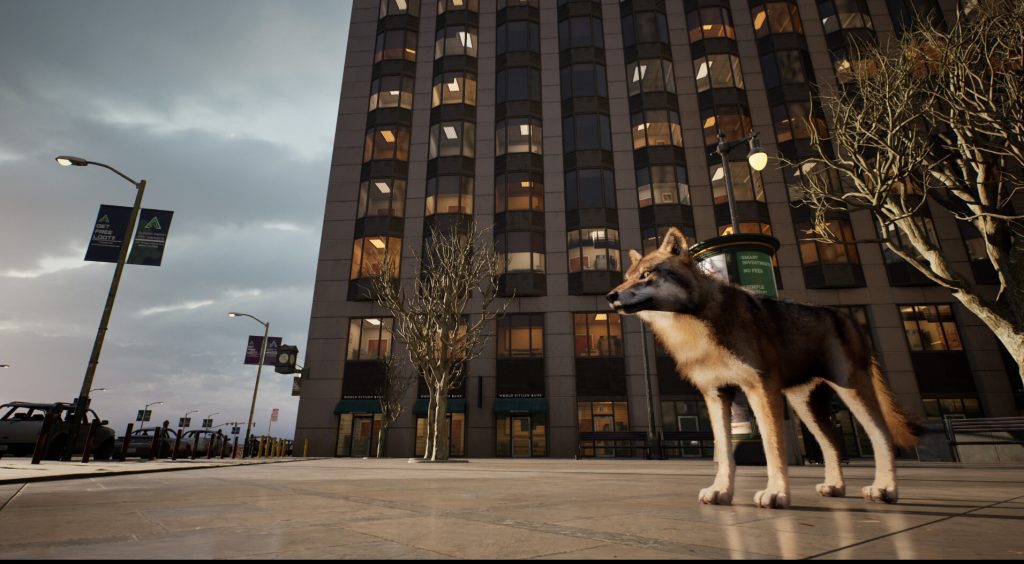 WOLF IN THE CITY