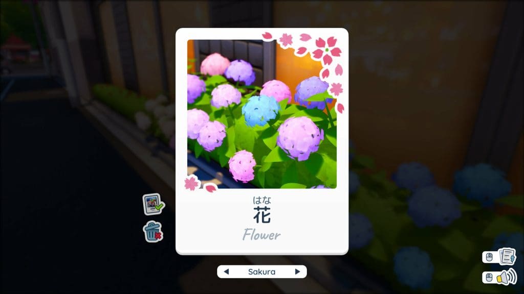 Shashingo Learn Japanese with Photography